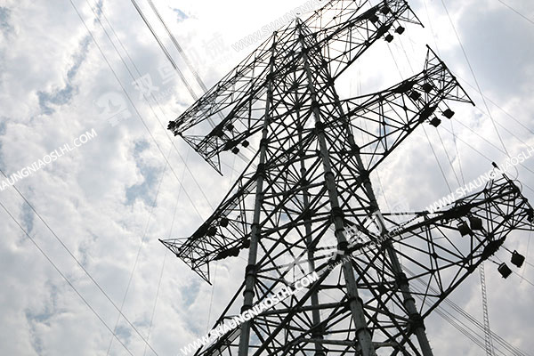 雙鳥電動葫蘆在電力行業中的使用案例